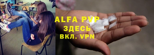 Альфа ПВП Магадан