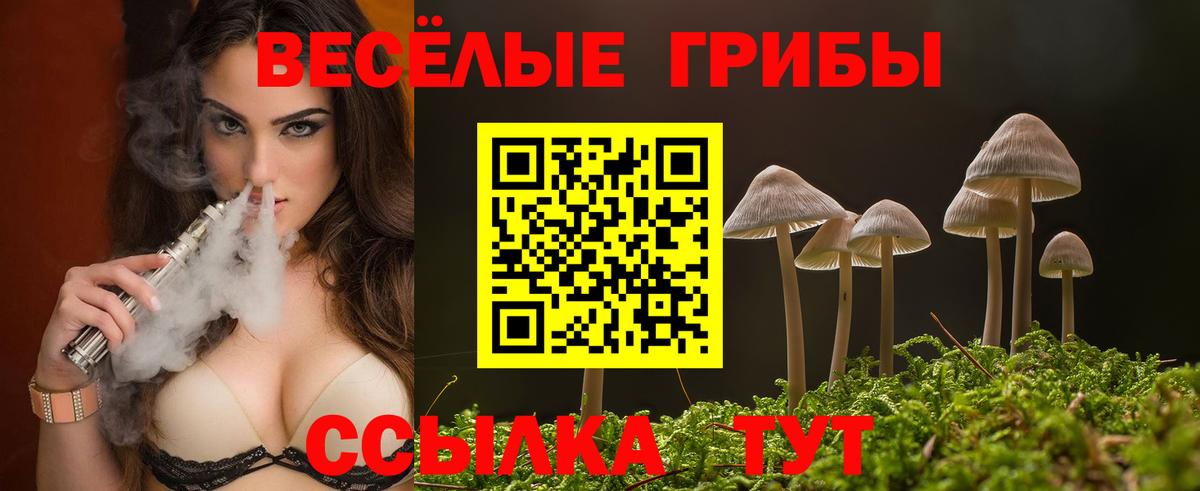 Холмск  Псилоцибиновые грибы Cubensis  Вход с VPN  Псилоцибиновые грибы прущие грибы 