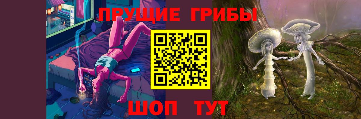 Псилоцибиновые грибы Psilocybe Холмск
